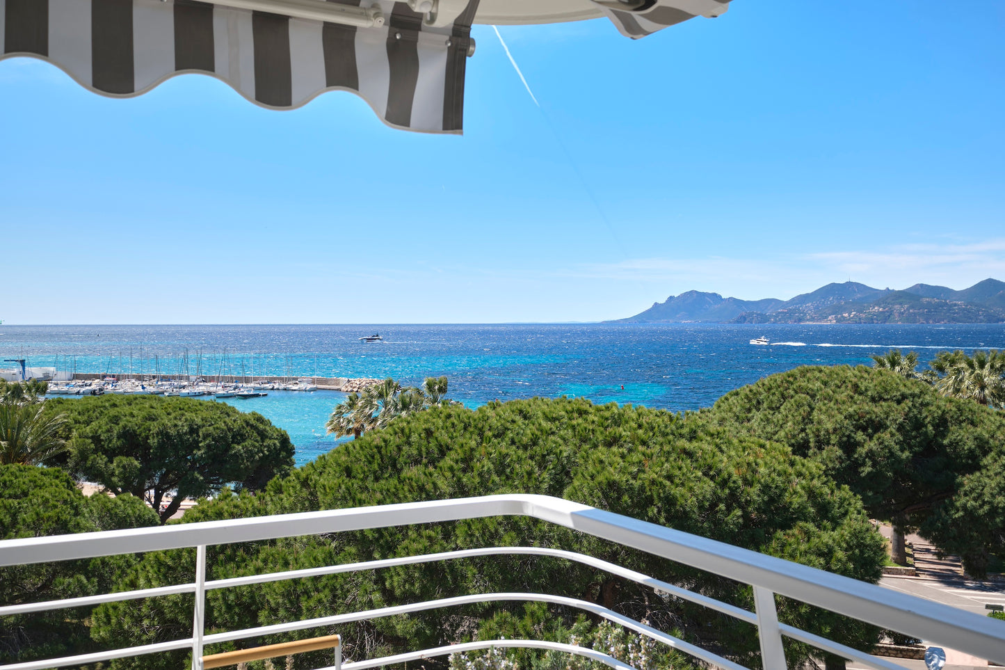 113 Boulevard de la Croisette